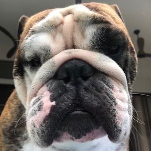 Meet your Posher, Chris